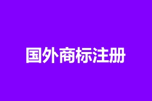 国外注册8.jpg