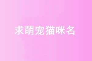 01.jpg