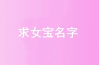 99元征集女孩子名字