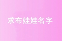 120元征集玩具名字