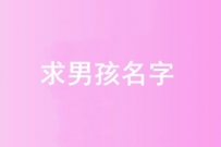 100元征集男孩名字
