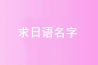 100元求日文名字