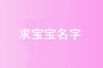 600元征集一个宝宝名字